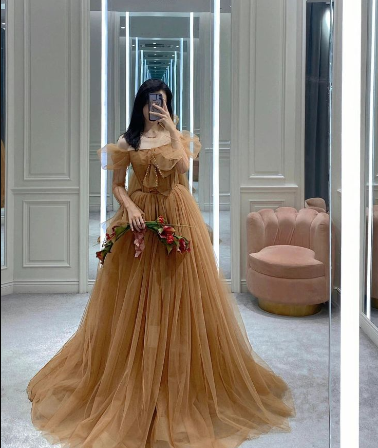 A Line Tulle Long Sleeve Off Shoulder Evening Dress Long Prom Dress S6339