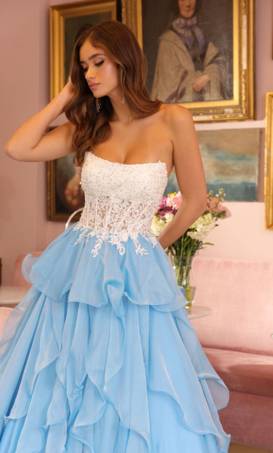 Elegant Embroidered Chiffon Prom Gown Baby Blue Women's Maxi Evening Dress Party Dress RS2822