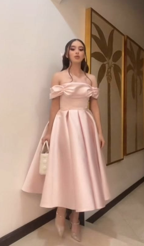 Silky Satin Bateau Prom Gown , Pink Women's Maxi Evening Dress Birthday Dress RS2691