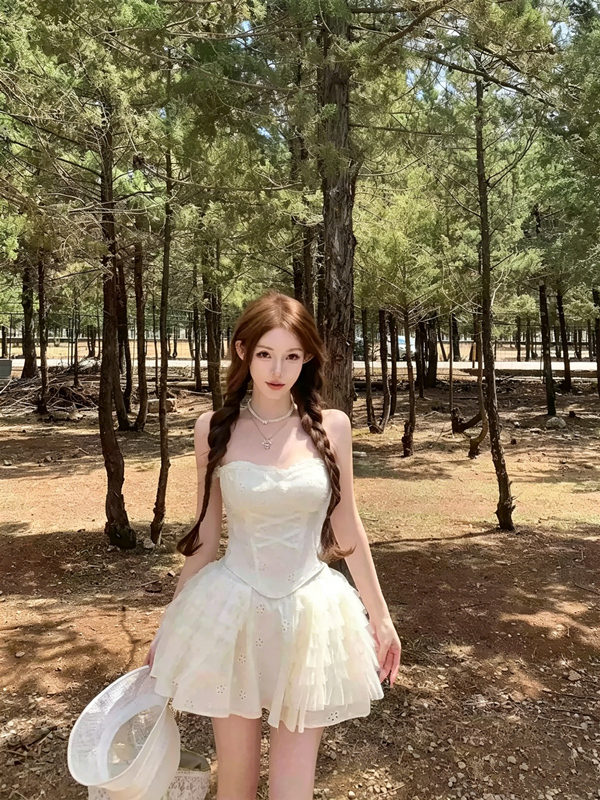 Balletcore Strapless Corset Tutu Mini Dress R9160