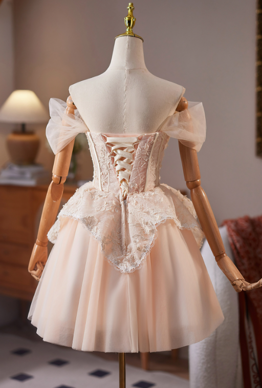 Cute Champagne A-line Bateau Lace Embroidery Corset Mini Birthday Dress Homecoming Dress RS510