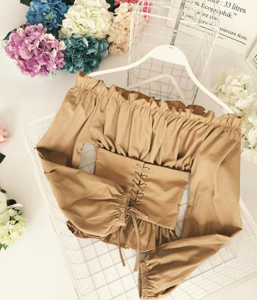 Stylish Off The Shoulder Long Sleeves Slim Top Blouse S4387