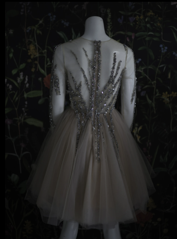 Beading Long Sleeves Short Prom Drsess Tulle Homecoming Dresses S2023