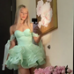Pink Strapless Fitted Waist Puffy Skirt Homecoming Dress R5440