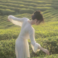 White dress, super fairy temperament chiffon skirt, waist slimming V-neck long sleeve long skirt R1707