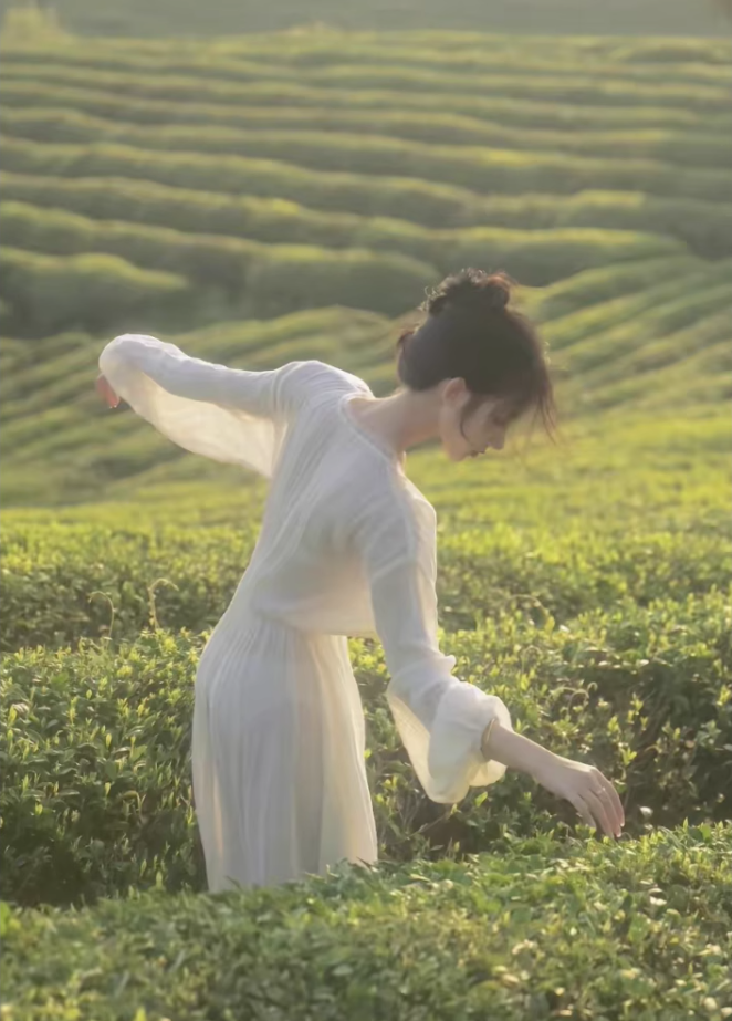 White dress, super fairy temperament chiffon skirt, waist slimming V-neck long sleeve long skirt R1707