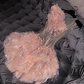 Light pink sleeveless fitted waist short ball gown with floral skirt R8801
