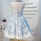 Pretty Pale Blue Homecoming Dress , Lace Embroidery Corset Mini Birthday Dress RS1475