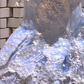 Blue Strap Diamond Lace Cute Princess Mini Skirt Homecoming Dress R4195