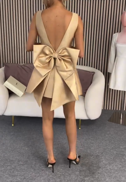 Champagne Sleeveless Waisted A-Line Short Homecoming Dress R5587