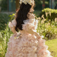 Beaded Floral Decor Puffy Prom Gown ,Gorgeous Champagne Maxi Evening Dress RS2024
