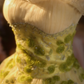 Light green strapless fitted waist ball gown/bridal dress R7275