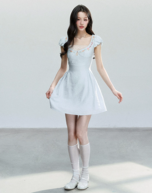 Light Blue Floral Embroidered Mini Dress Women With Lace Trim And Puff Sleeves R9414