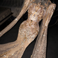 Gold sequined, fitted, bodycon, long, sexy ball gown/bridal dress R8703