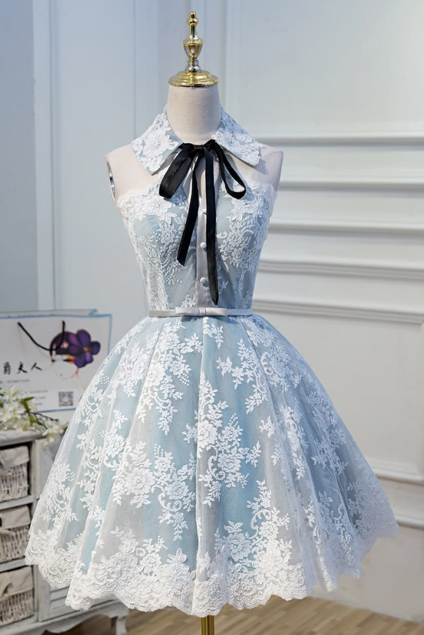 Silky Lace Embroidered Women's Homecoming Dress Blue Corset Mini Birthday Dress RS2329