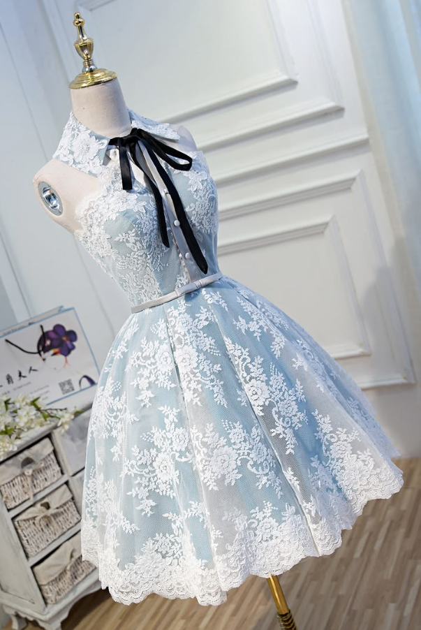 Silky Lace Embroidered Women's Homecoming Dress Blue Corset Mini Birthday Dress RS2329