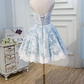 Silky Lace Embroidered Women's Homecoming Dress Blue Corset Mini Birthday Dress RS2329