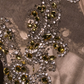 Yellow sleeveless rhinestone neckline, fitted waist, elegant classic long ball gown R6864