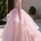 Sweet Pink Ball Gown Strapless Applique Corset Maxi Evening Dress Birthday Dress RS347