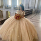 Champagne Quinceanera Off Shoulder Sweet 16 Applique Party Ball Gown     S7228