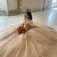 Champagne Quinceanera Off Shoulder Sweet 16 Applique Party Ball Gown     S7228