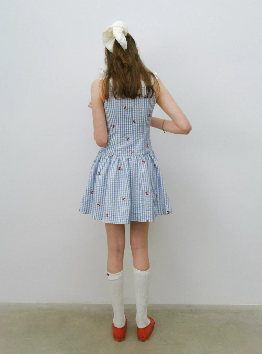 Blue Gingham Cherry Embroidered Mini Dress Women With Lace Trim R9473