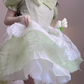 Tea break French first love sweet forest style princess dress small dress R1661