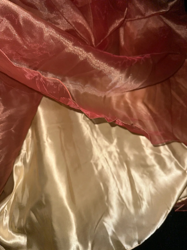 Orange strapless fitted long ball gown R6922