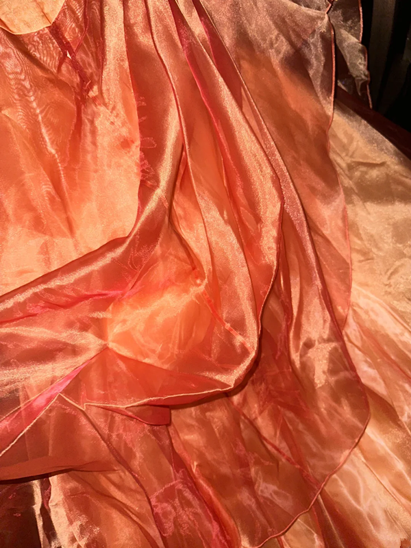 Orange strapless fitted long ball gown R6922