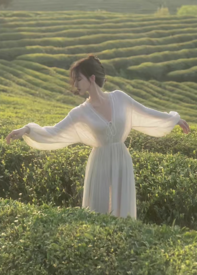 White dress, super fairy temperament chiffon skirt, waist slimming V-neck long sleeve long skirt R1707