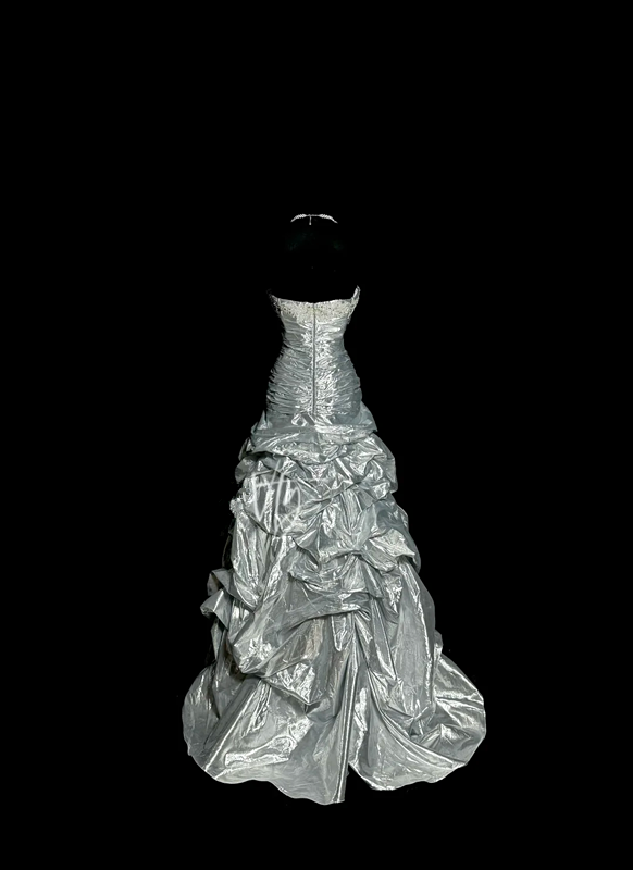 Silver strapless fitted waist slim-fitting ball gown with a full skirt R6644