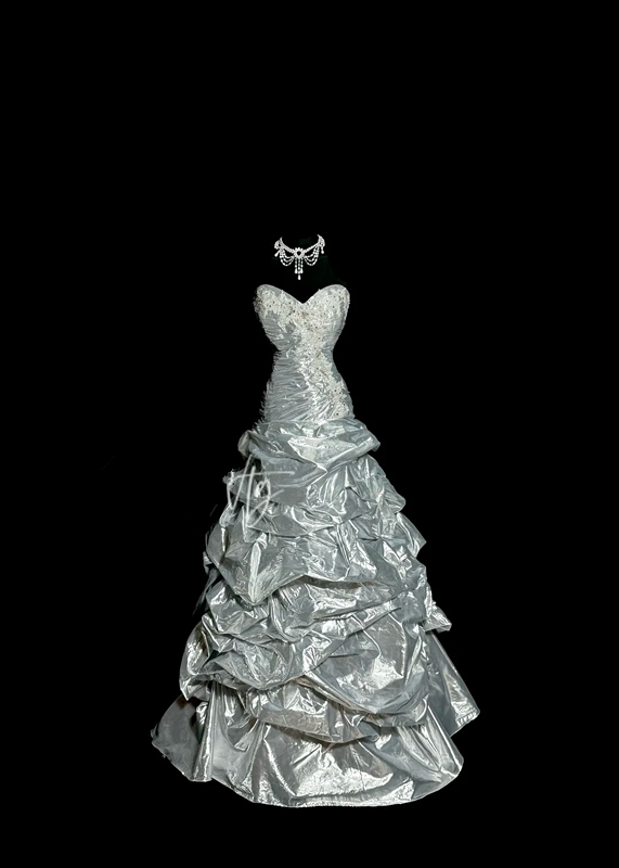 Silver strapless fitted waist slim-fitting ball gown with a full skirt R6644