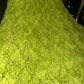Light green strapless, fitted, mermaid-style long ball gown, elegant and fairy-like R6964
