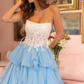Elegant Embroidered Chiffon Prom Gown Baby Blue Women's Maxi Evening Dress Party Dress RS2822