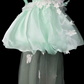 Dreamy Silky Applique Women's Homecoming Dress Mint Green Corset Short Prom Dress Birthday Dress RS2744