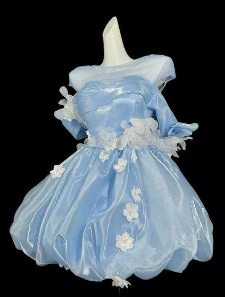 Dreamy Satin Applique Women's Homecoming Dress Blue Corset Short Prom Dress Birthday Dress RS2746