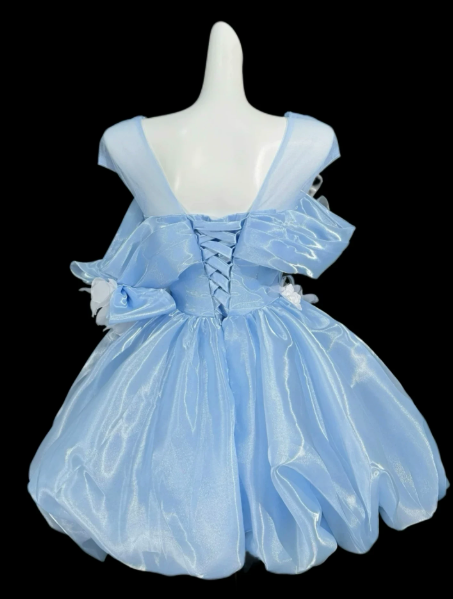 Dreamy Satin Applique Women's Homecoming Dress Blue Corset Short Prom Dress Birthday Dress RS2746