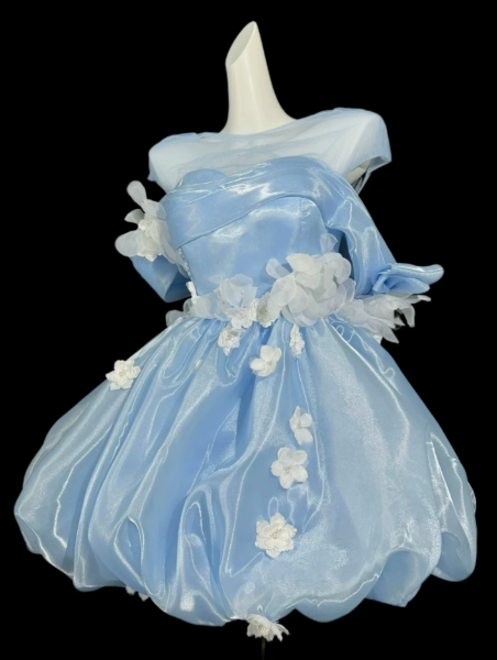 Dreamy Satin Applique Women's Homecoming Dress Blue Corset Short Prom Dress Birthday Dress RS2746