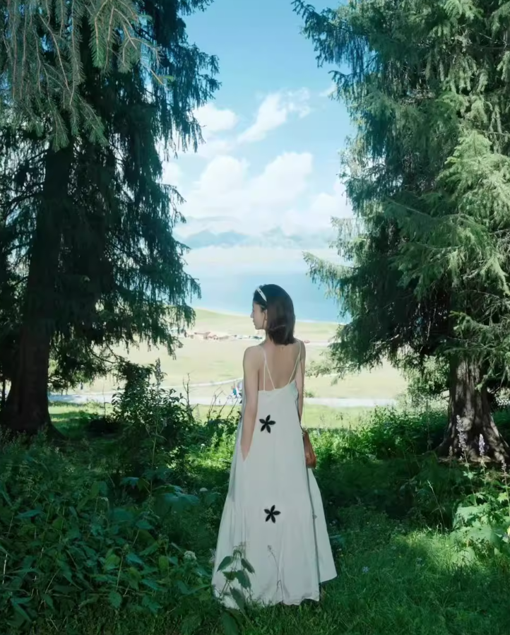 Beach dress with embroidered flowers, cotton and linen, holiday style, loose suspender dress R1610