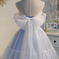 Dreamy Blue Homecoming Dress , Embroidered Tulle Pretty Corset Short Prom Dress Cami Dress RS1692