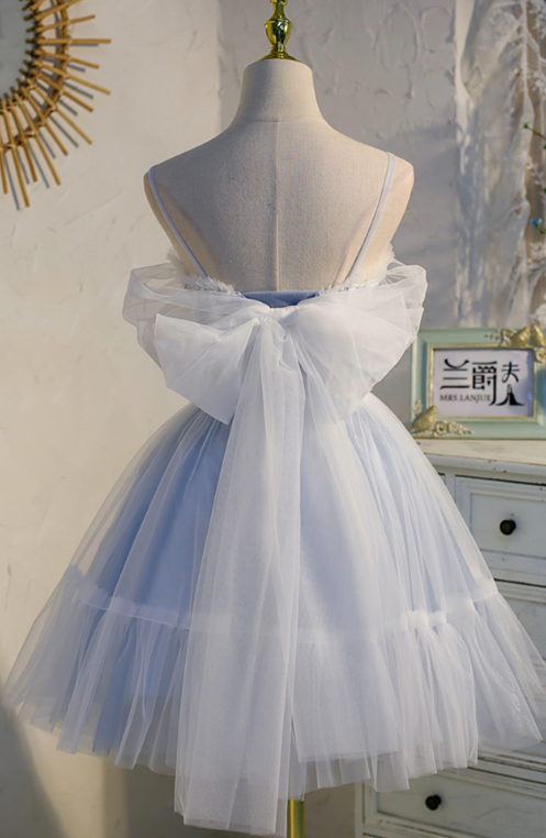 Dreamy Blue Homecoming Dress , Embroidered Tulle Pretty Corset Short Prom Dress Cami Dress RS1692
