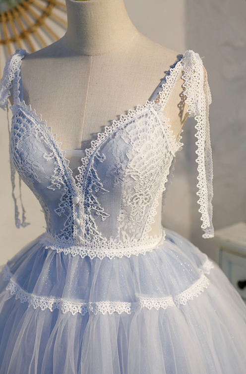 Dreamy Blue Homecoming Dress , Embroidered Elegant Tulle Corset Short Prom Dress Cami Dress RS1694