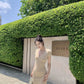 Casual Minimalist Ribbed Bodycon Mini Dress V-Neck Solid Color Knit R9189