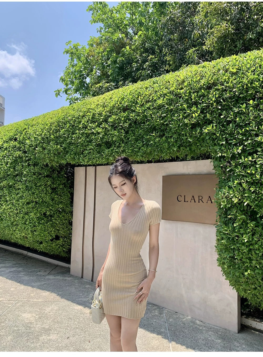 Casual Minimalist Ribbed Bodycon Mini Dress V-Neck Solid Color Knit R9189