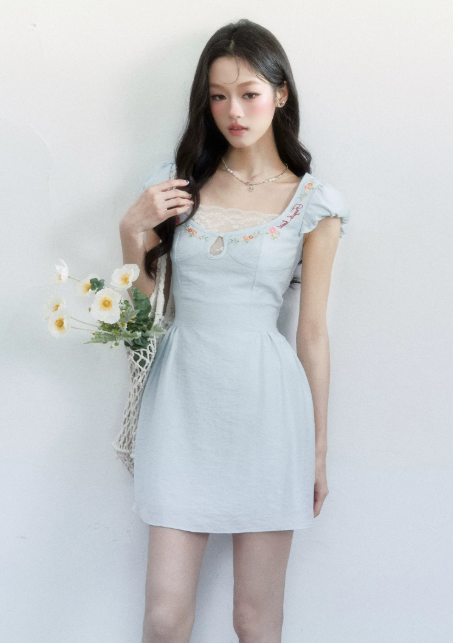 Light Blue Floral Embroidered Mini Dress Women With Lace Trim And Puff Sleeves R9414