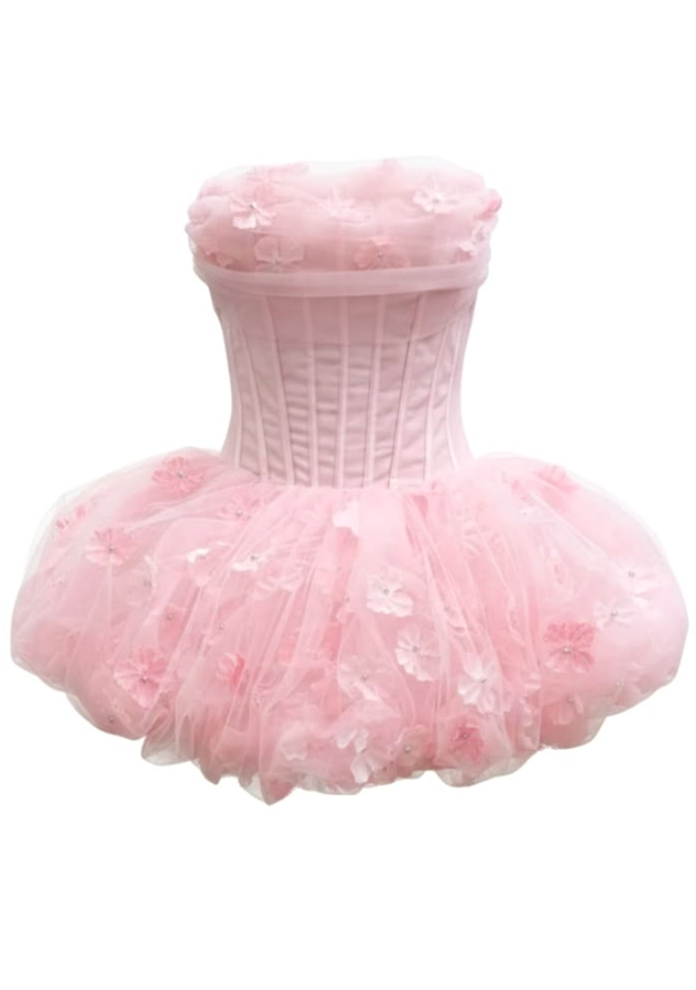 Sweet Tulle Hazy Women's Homecoming Dress Pink Corset Short Prom Dress Party Dress RS2637