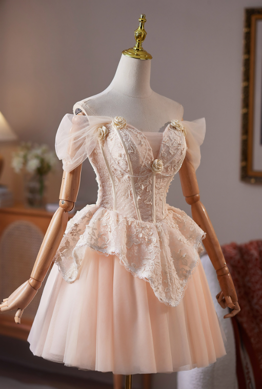 Cute Champagne A-line Bateau Lace Embroidery Corset Mini Birthday Dress Homecoming Dress RS510