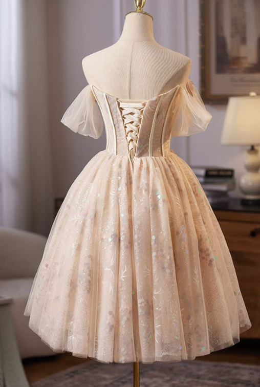 Luxury Champagne A-Line Off-the-shoulder Flower- Embroidery Corset Mini Evening Dress Homecoming Dress RS575