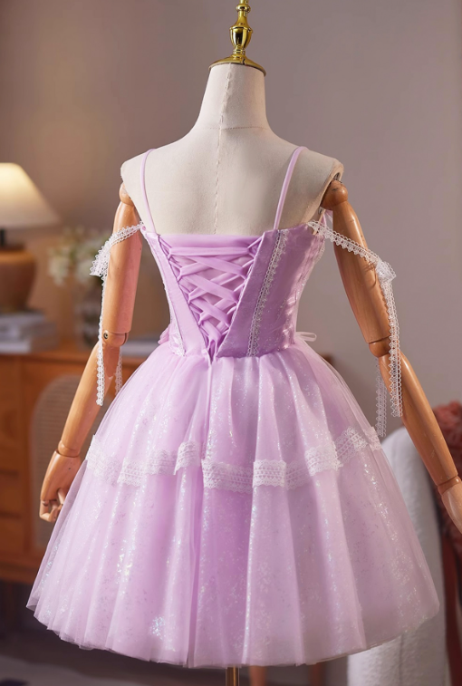 Elegant Purple A-Line Spaghetti Straps Lace Embroidery Corset Mini Prom Dress Homecoming Dress RS576