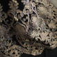 Black off-the-shoulder fitted waist bodycon dress with gold floral skirt for a long ball gown R6810